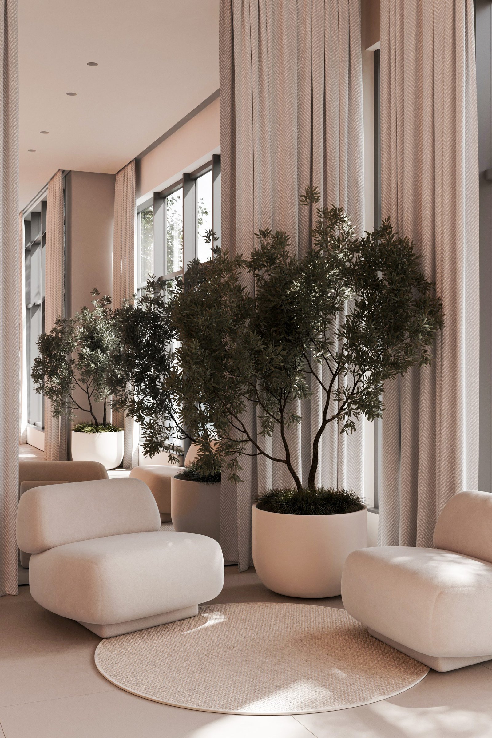 Lounge with olive trees